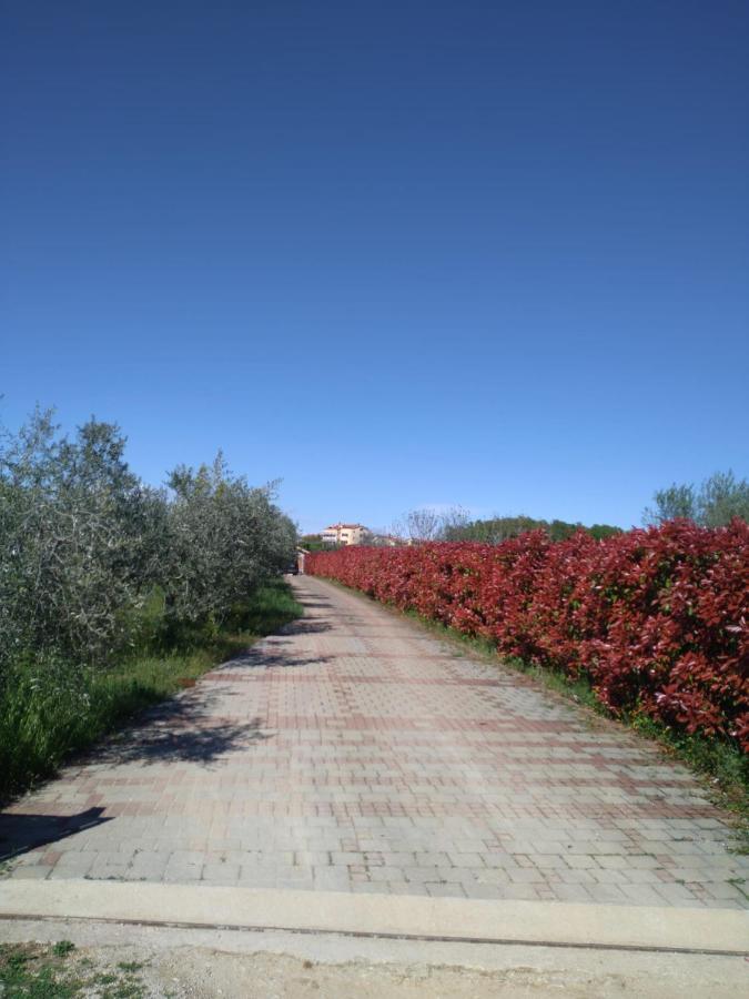 Villa Absolute Privacy Novigrad Istria Exteriér fotografie