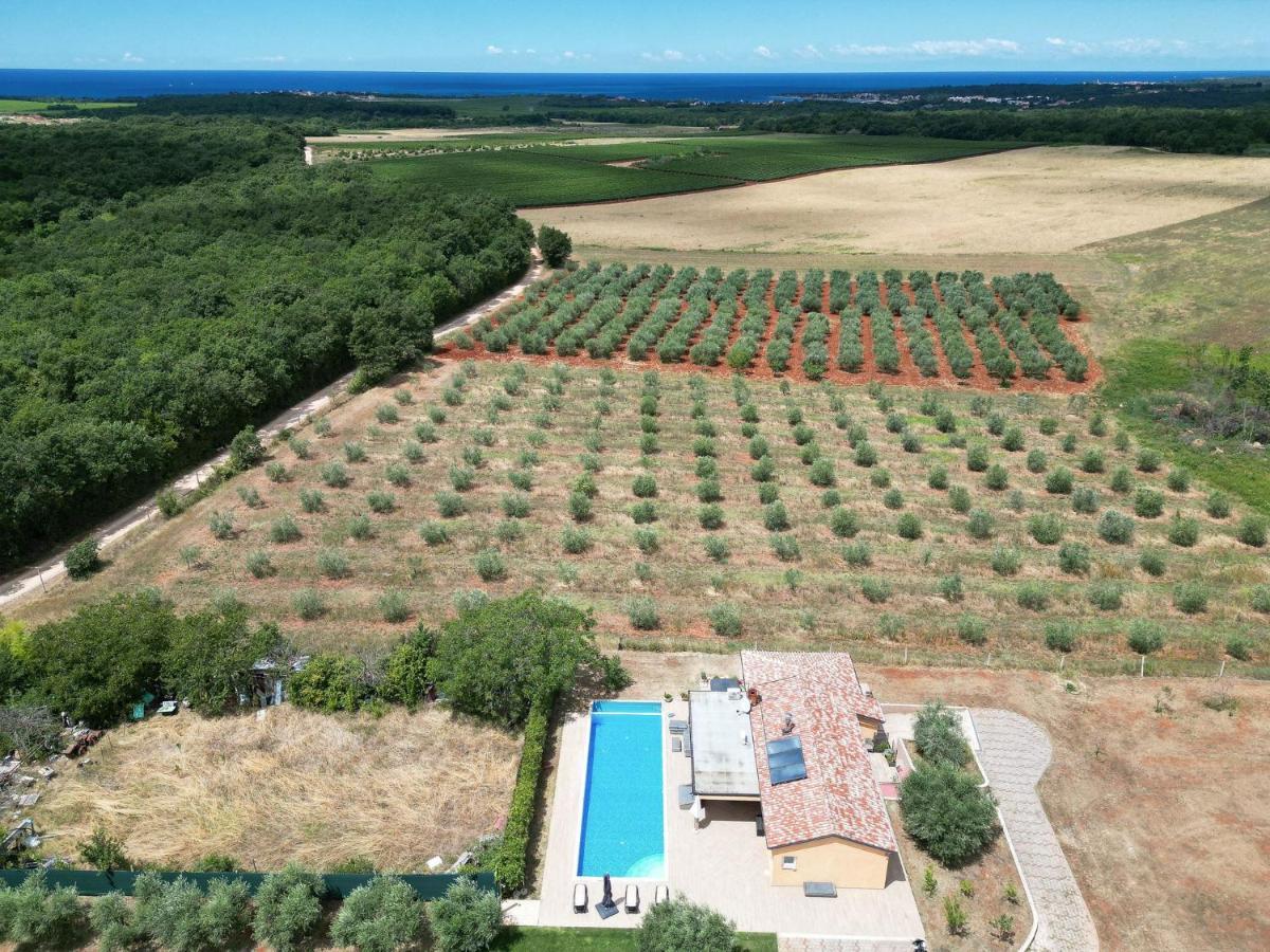 Villa Absolute Privacy Novigrad Istria Exteriér fotografie