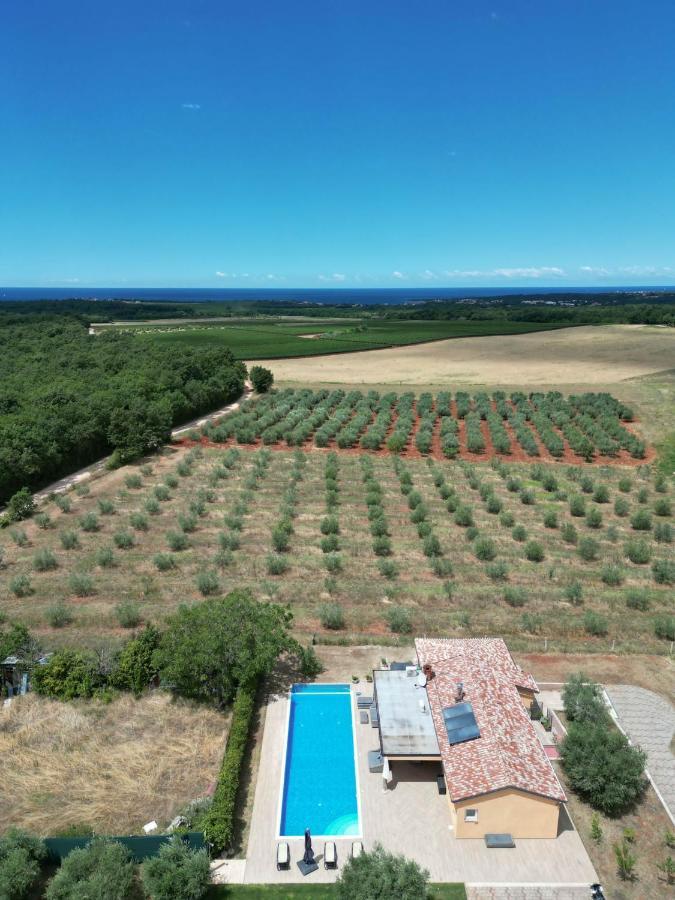 Villa Absolute Privacy Novigrad Istria Exteriér fotografie